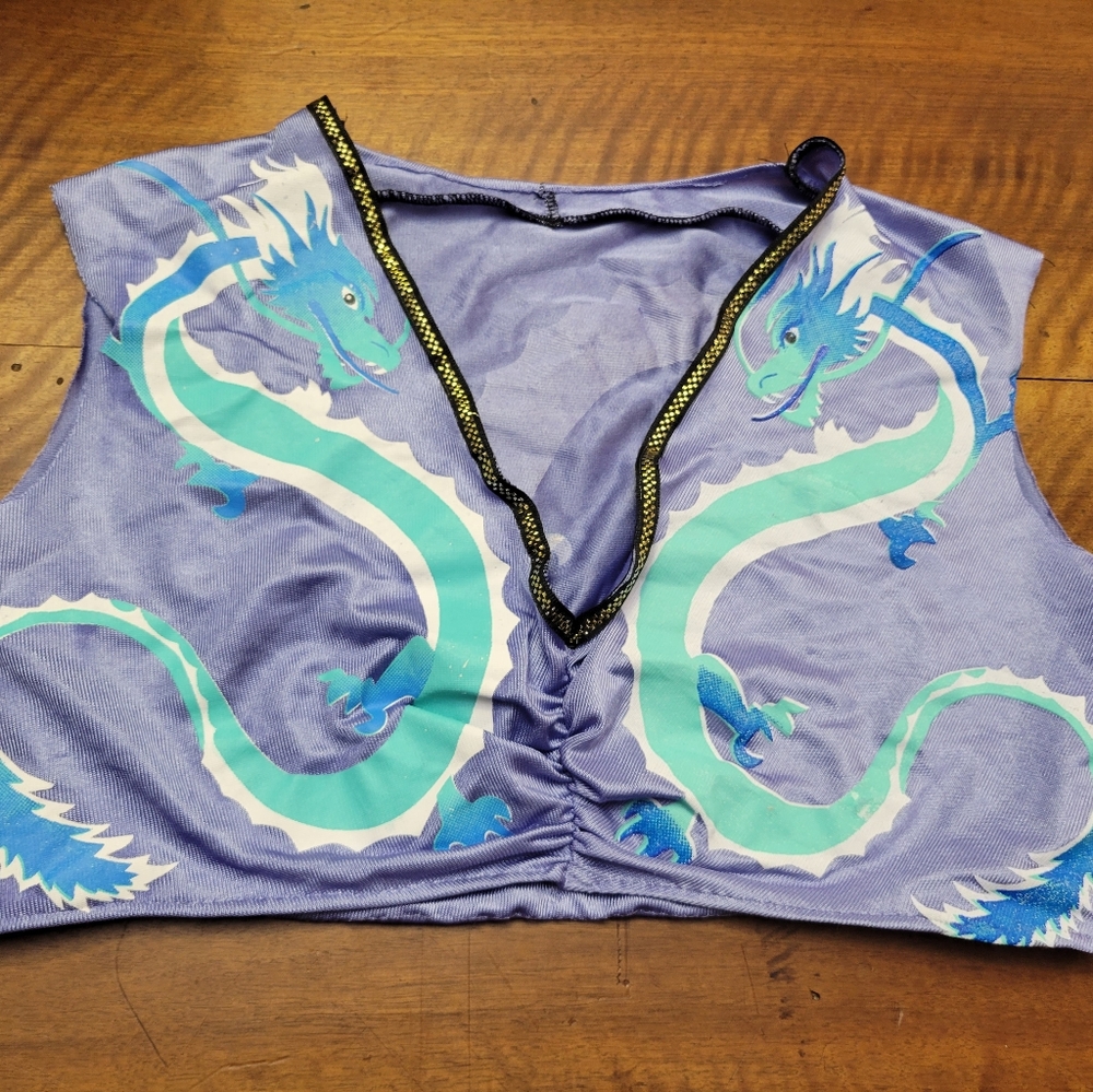 Upcycled Dragon Crop Top Purple Green Blue Medium/Large